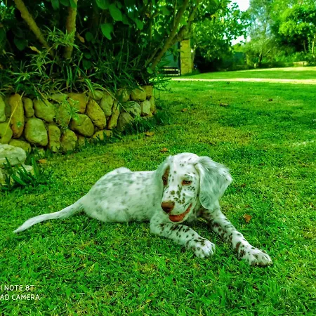 Villa Ca Na Maria